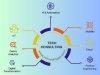 Embracing the Power of Technology Consulting