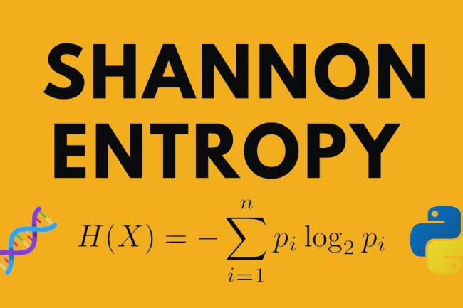 Unveiling the Concept of Information Entropy
