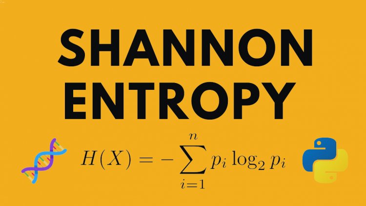 Unveiling the Concept of Information Entropy